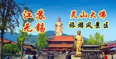 网站男生和男生插江苏无锡灵山大佛旅游风景区