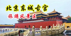 操屄视频在线观看登录首页中国北京-东城古宫旅游风景区
